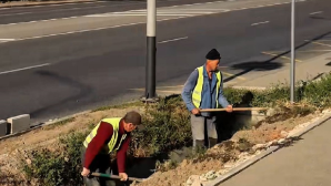 Проект по комплексному благоустройству буферных зон реализуется в Наурызбайском районе Алматы
