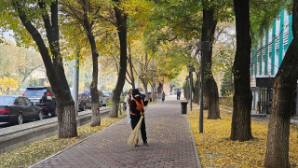 Дархан Сатыбалды поручил усилить работу по «Таза Казахстан» и улучшить экологическую культуру в городе